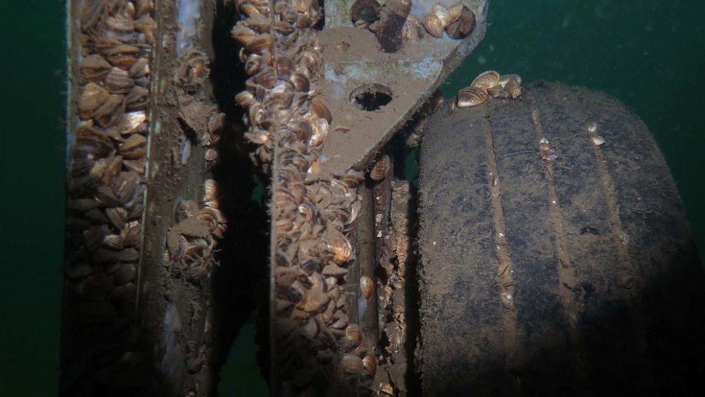 210724_La Gombe_20B.jpg